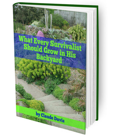 What Every Survivalist Should Grow In His Backyard